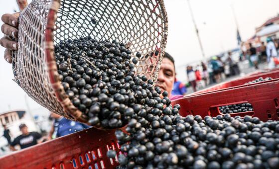 América Latina busca convertir su potencial agroalimentario en inversiones para el campo